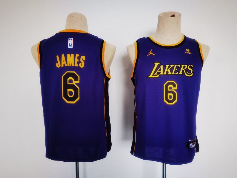 Youth Purple Los Angeles Lakers #6 LeBron James Stitched Basketball Jersey